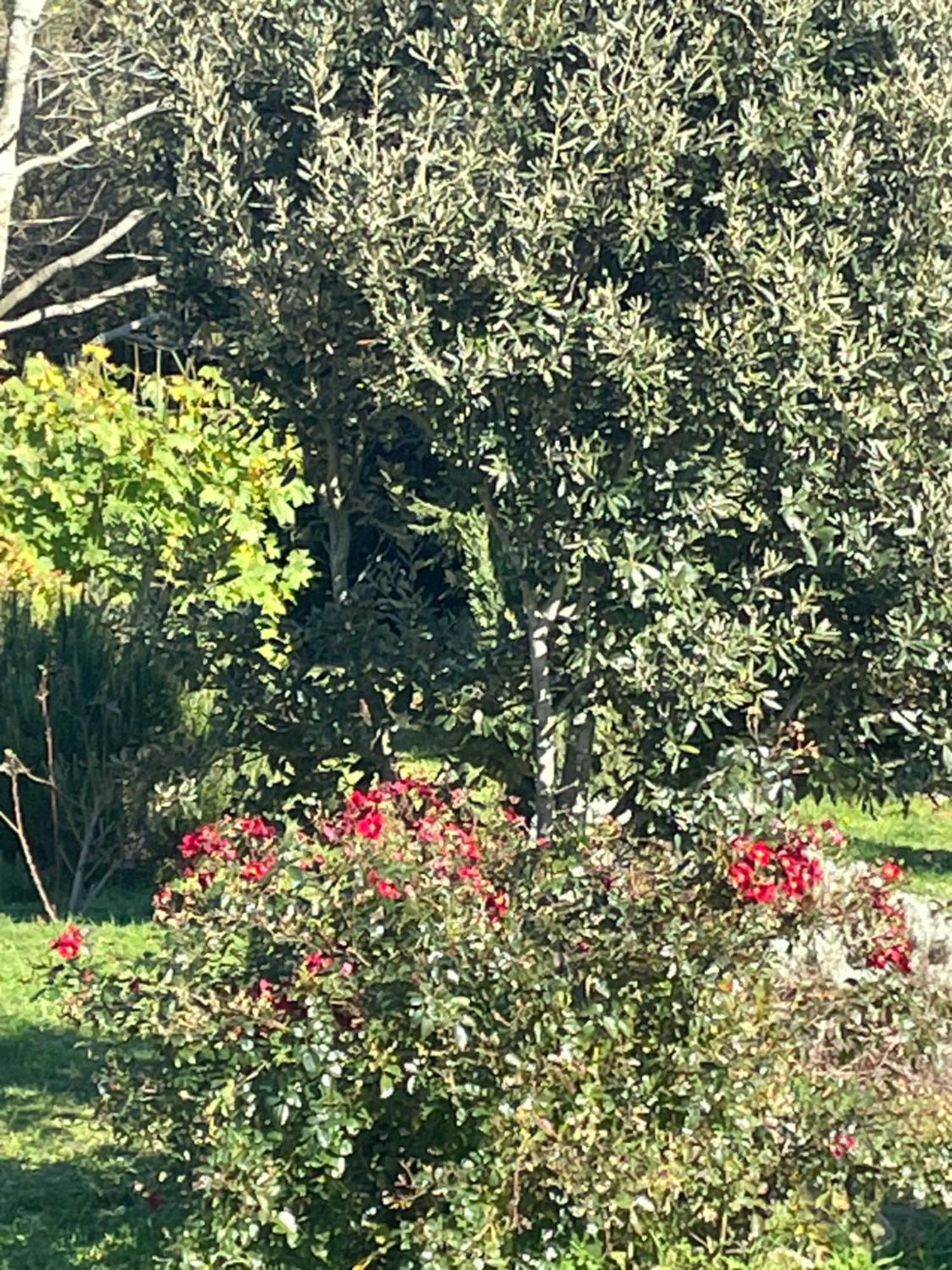 Borie Grande Villa Saint-Denis  Eksteriør billede